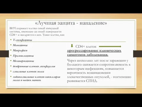 «Лучшая защита - нападение» ВИЧ поражает клетки самой иммунной системы, имеющие