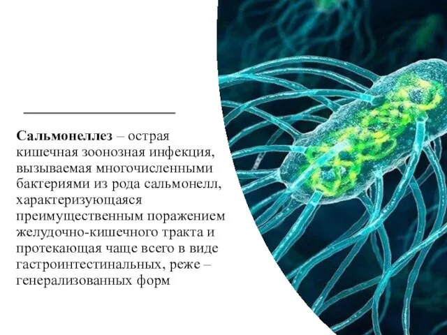 Сальмонеллез – острая кишечная зоонозная инфекция, вызываемая многочисленными бактериями из рода