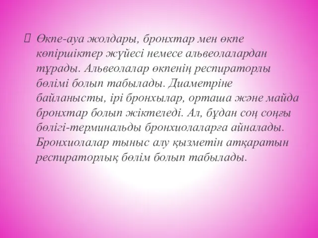 Өкпе-ауа жолдары, бронхтар мен өкпе көпіршіктер жүйесі немесе альвеолалардан тұрады. Альвеолалар