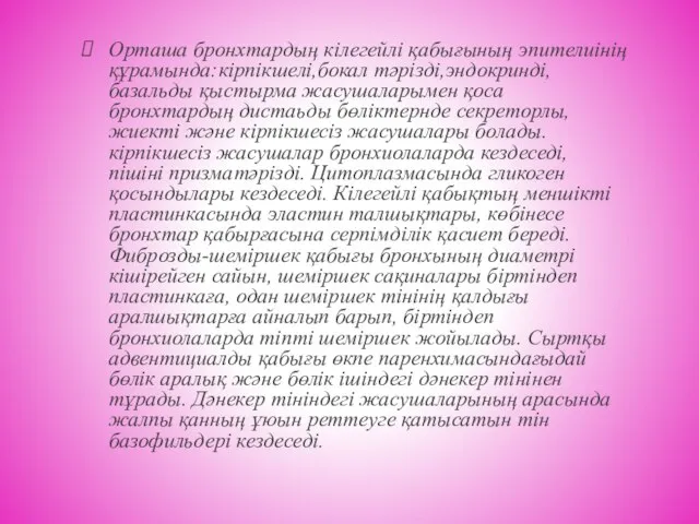 Орташа бронхтардың кілегейлі қабығының эпителиінің құрамында:кірпікшелі,бокал тәрізді,эндокринді, базальды қыстырма жасушаларымен қоса