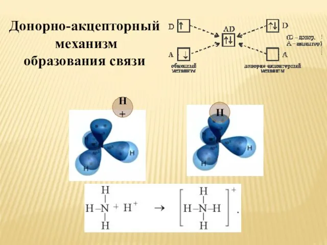 Донорно-акцепторный механизм образования связи Н+ Н