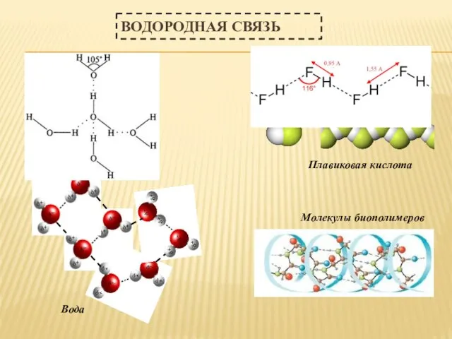 ВОДОРОДНАЯ СВЯЗЬ Вода Плавиковая кислота Молекулы биополимеров