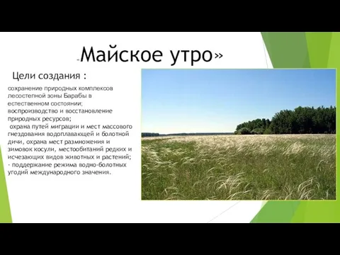 «Майское утро» Цели создания : сохранение природных комплексов лесостепной зоны Барабы