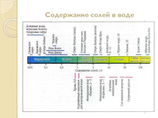 Содержание солей в воде