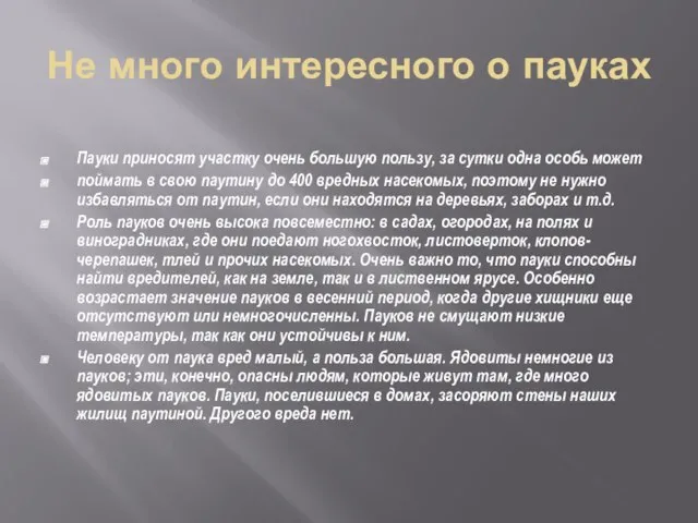 Не много интересного о пауках Пауки приносят участку очень большую пользу,