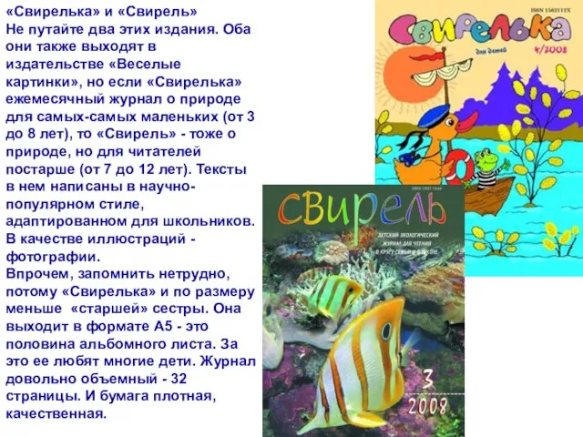 автор Писаревская Татьяна Петровна БСОШ№1 «Свирелька» и «Свирель» Не путайте два