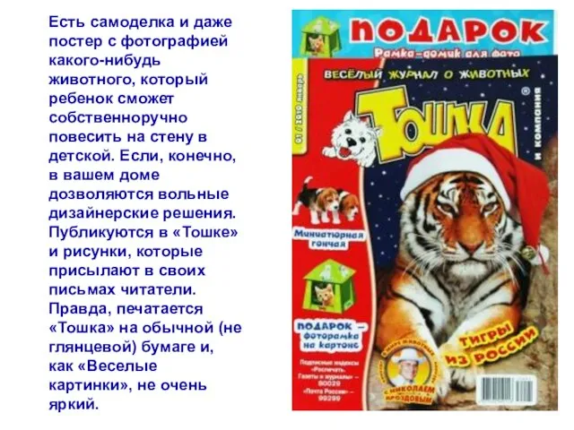 автор Писаревская Татьяна Петровна БСОШ№1 Есть самоделка и даже постер с