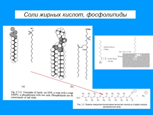 Соли жирных кислот, фосфолипиды