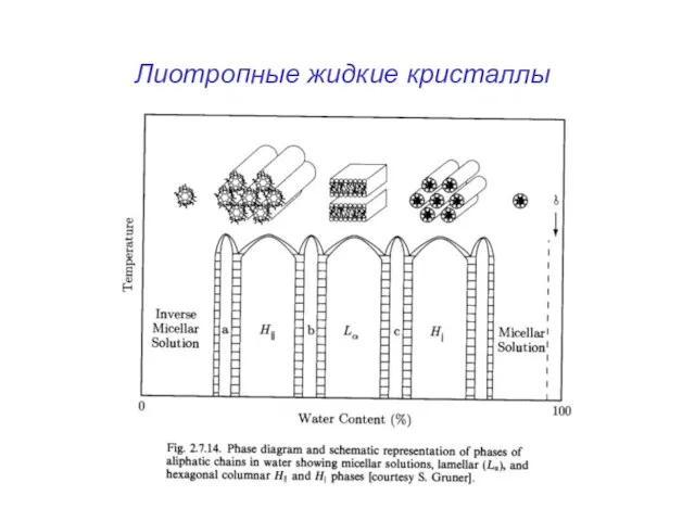 Лиотропные жидкие кристаллы