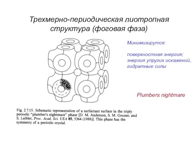 Трехмерно-периодическая лиотропная структура (фоговая фаза) Минимизирутся: поверхностная энергия; энергия упругих искажений, гидратные силы Plumbers nightmare