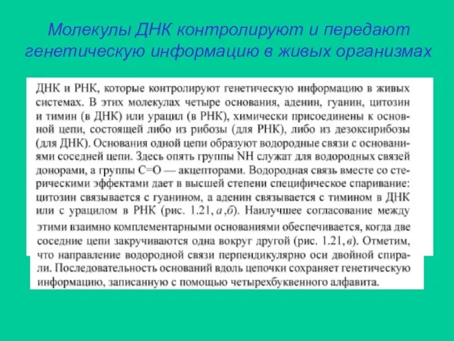 Молекулы ДНК контролируют и передают генетическую информацию в живых организмах