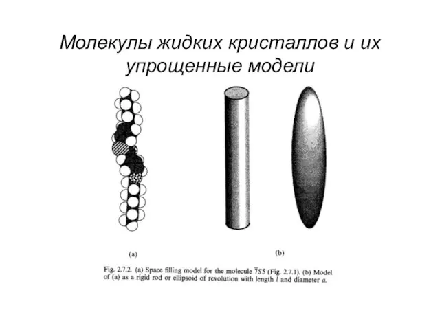 Молекулы жидких кристаллов и их упрощенные модели