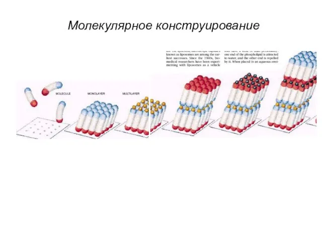 Молекулярное конструирование