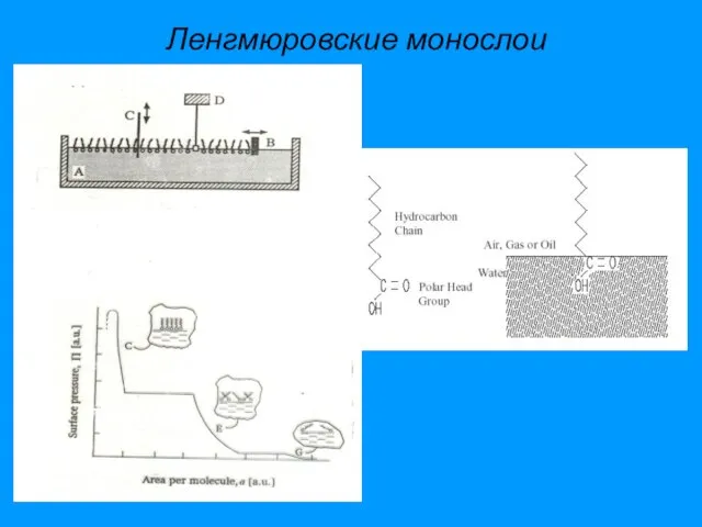 Ленгмюровские монослои