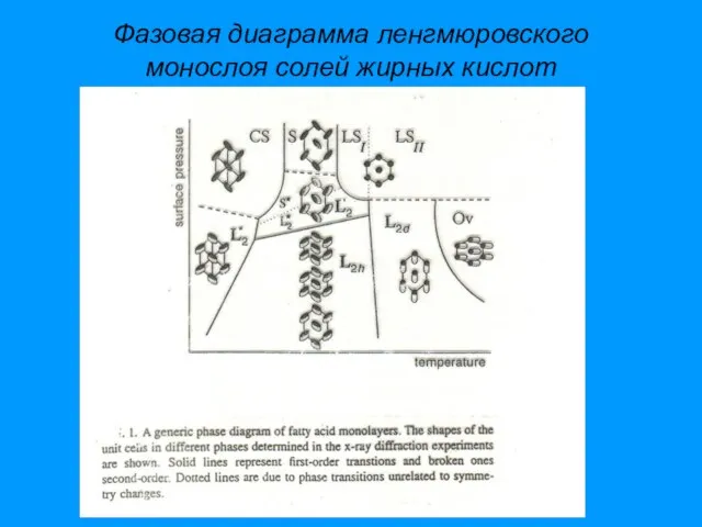 Фазовая диаграмма ленгмюровского монослоя солей жирных кислот