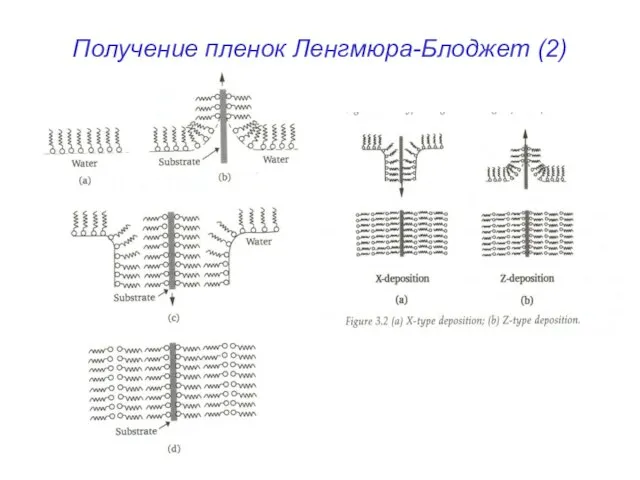 Получение пленок Ленгмюра-Блоджет (2)