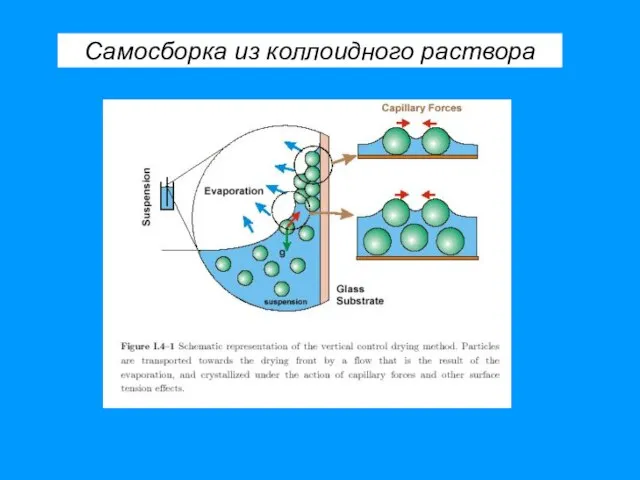 Самосборка из коллоидного раствора