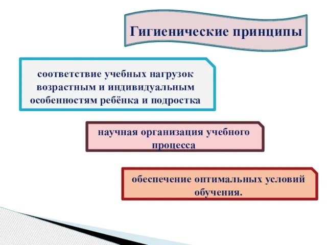 Гигиенические принципы соответствие учебных нагрузок возрастным и индивидуальным особенностям ребёнка и