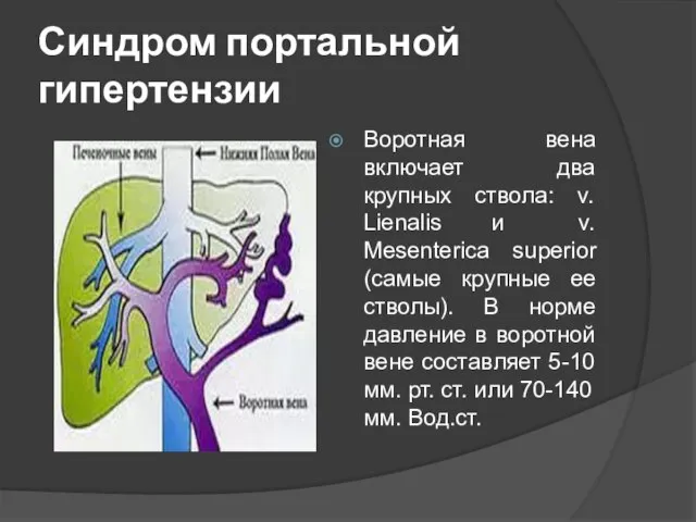 Синдром портальной гипертензии Воротная вена включает два крупных ствола: v. Lienalis