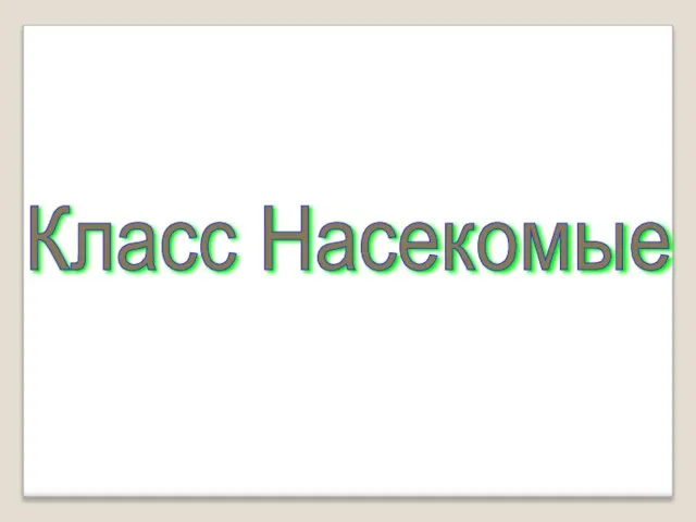 Класс Насекомые