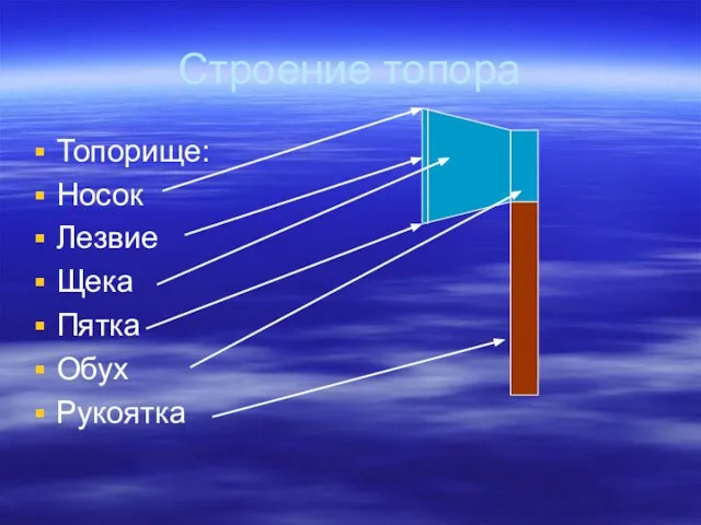 Строение топора Топорище: Носок Лезвие Щека Пятка Обух Рукоятка