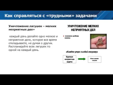 Уничтожение лягушек – мелких неприятных дел» каждый день делайте одно мелкое