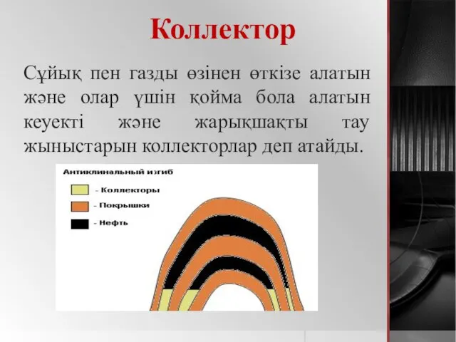 Коллектор Сұйық пен газды өзінен өткізе алатын және олар үшін қойма