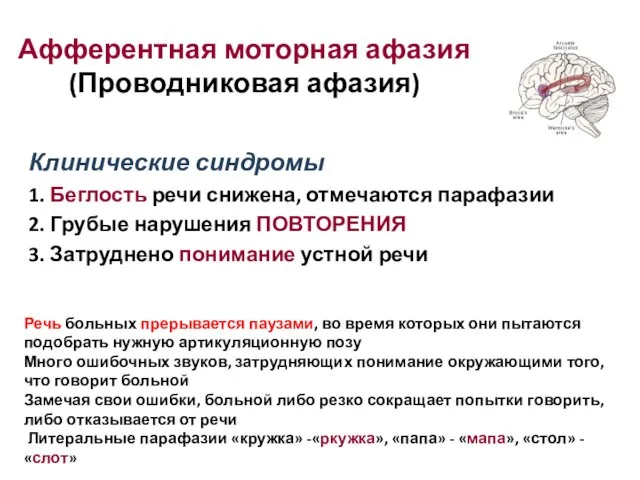 Клинические синдромы 1. Беглость речи снижена, отмечаются парафазии 2. Грубые нарушения