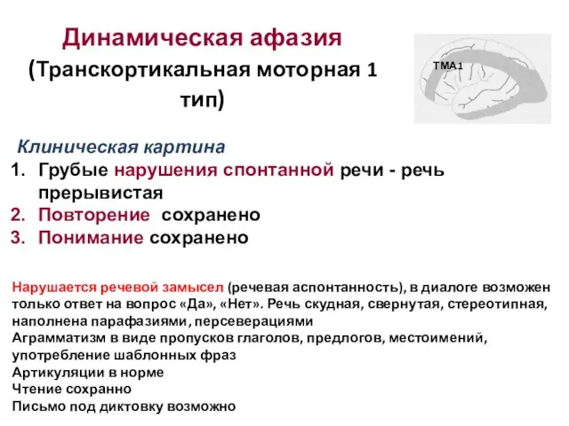 Динамическая афазия (Транскортикальная моторная 1 тип) Нарушается речевой замысел (речевая аспонтанность),