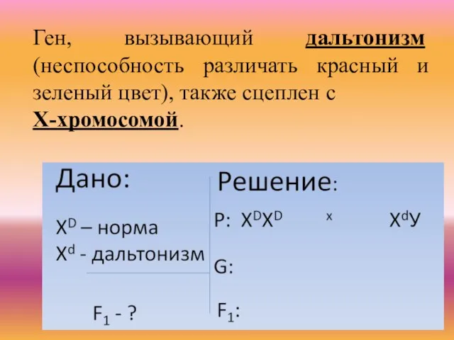 Ген, вызывающий дальтонизм (неспособность различать красный и зеленый цвет), также сцеплен с Х-хромосомой.