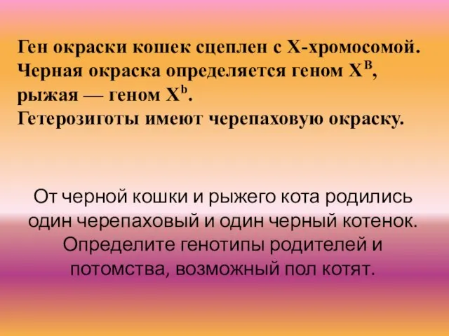 Ген окраски кошек сцеплен с Х-хромосомой. Черная окраска определяется геном ХВ,