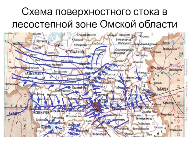 Схема поверхностного стока в лесостепной зоне Омской области