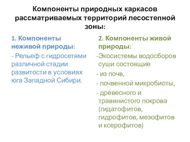 Компоненты природных каркасов рассматриваемых территорий лесостепной зоны: 1. Компоненты неживой природы: