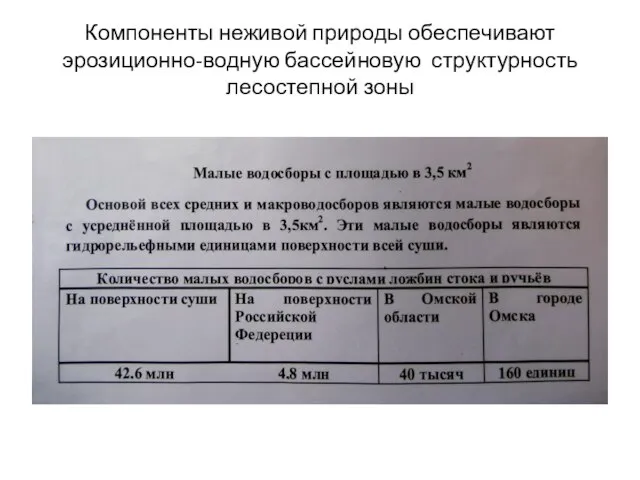 Компоненты неживой природы обеспечивают эрозиционно-водную бассейновую структурность лесостепной зоны