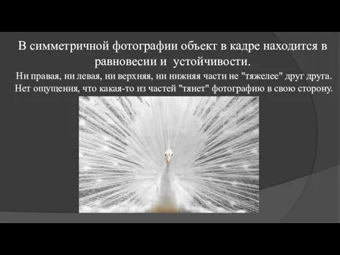 В симметричной фотографии объект в кадре находится в равновесии и устойчивости.