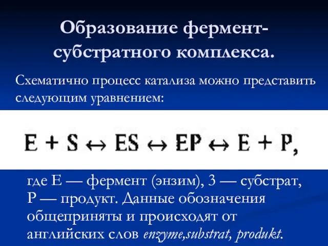 Образование фермент-субстратного комплекса. где Е — фермент (энзим), 3 — субстрат,