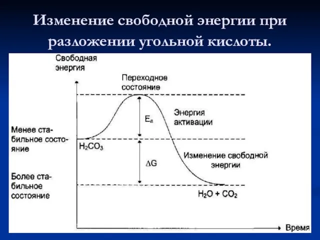 Изменение свободной энергии при разложении угольной кислоты.
