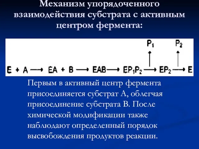 Механизм упорядоченного взаимодействия субстрата с активным центром фермента: Первым в активный