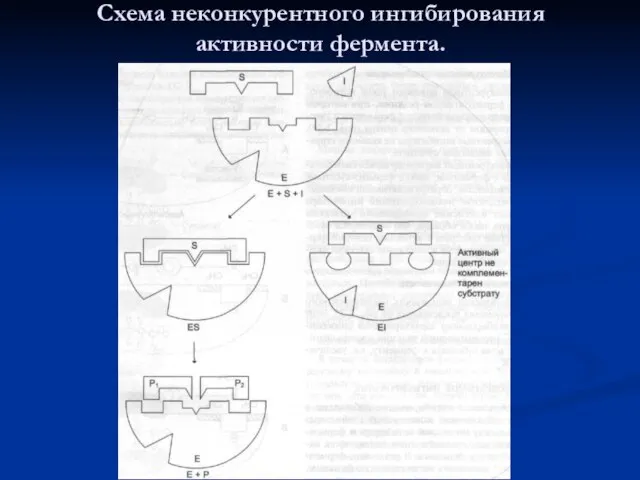 Схема неконкурентного ингибирования активности фермента.