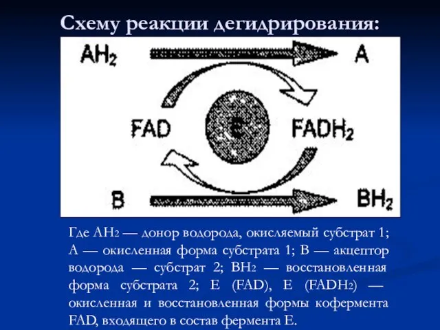 Схему реакции дегидрирования: Где АН2 — донор водорода, окисляемый субстрат 1;