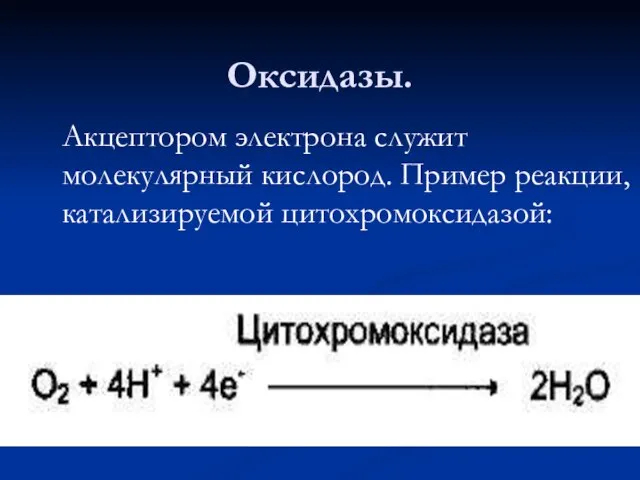 Оксидазы. Акцептором электрона служит молекулярный кислород. Пример реакции, катализируемой цитохромоксидазой: