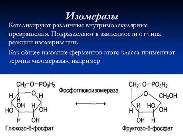 Изомеразы Катализируют различные внутримолекулярные превращения. Подразделяют в зависимости от типа реакции