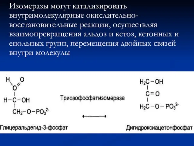 Изомеразы могут катализировать внутримолекулярные окислительно-восстановительные реакции, осуществляя взаимопревращения альдоз и кетоз,