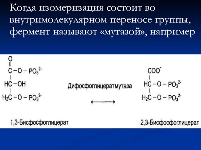 Когда изомеризация состоит во внутримолекулярном переносе группы, фермент называют «мутазой», например