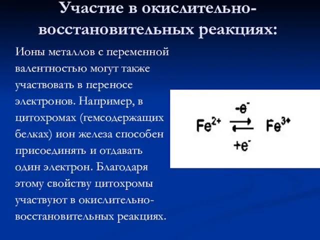 Участие в окислительно-восстановительных реакциях: Ионы металлов с переменной валентностью могут также