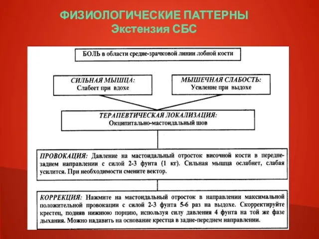 ФИЗИОЛОГИЧЕСКИЕ ПАТТЕРНЫ Экстензия СБС