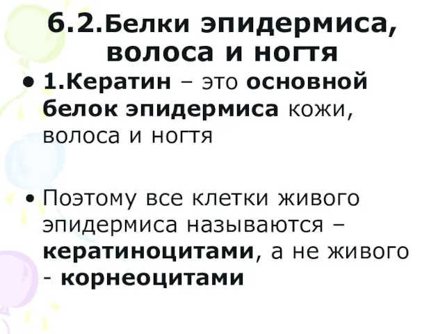 6.2.Белки эпидермиса, волоса и ногтя 1.Кератин – это основной белок эпидермиса