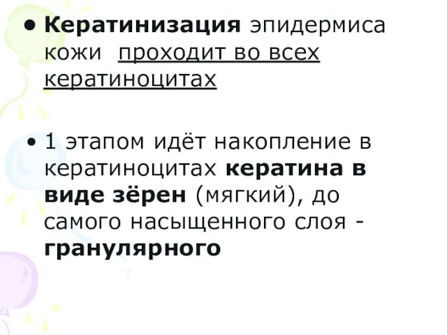 Кератинизация эпидермиса кожи проходит во всех кератиноцитах 1 этапом идёт накопление