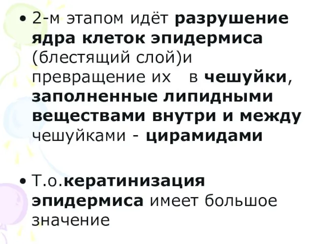 2-м этапом идёт разрушение ядра клеток эпидермиса (блестящий слой)и превращение их