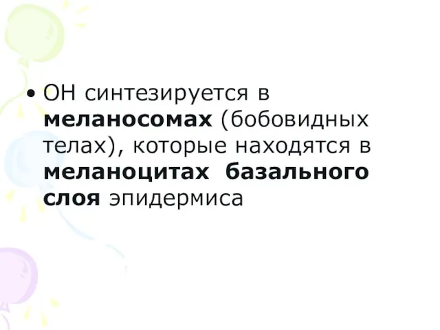 ОН синтезируется в меланосомах (бобовидных телах), которые находятся в меланоцитах базального слоя эпидермиса